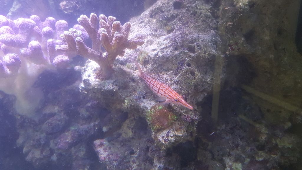 20150601_131035.jpg