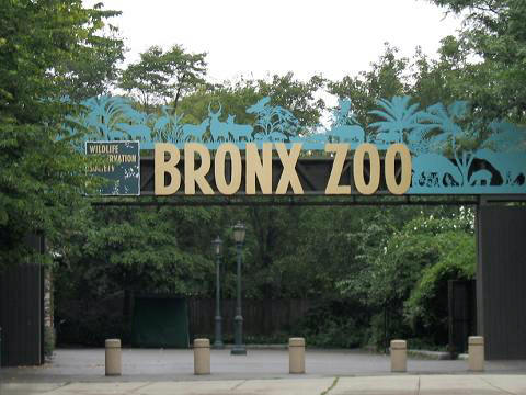 bronxzoo.jpg