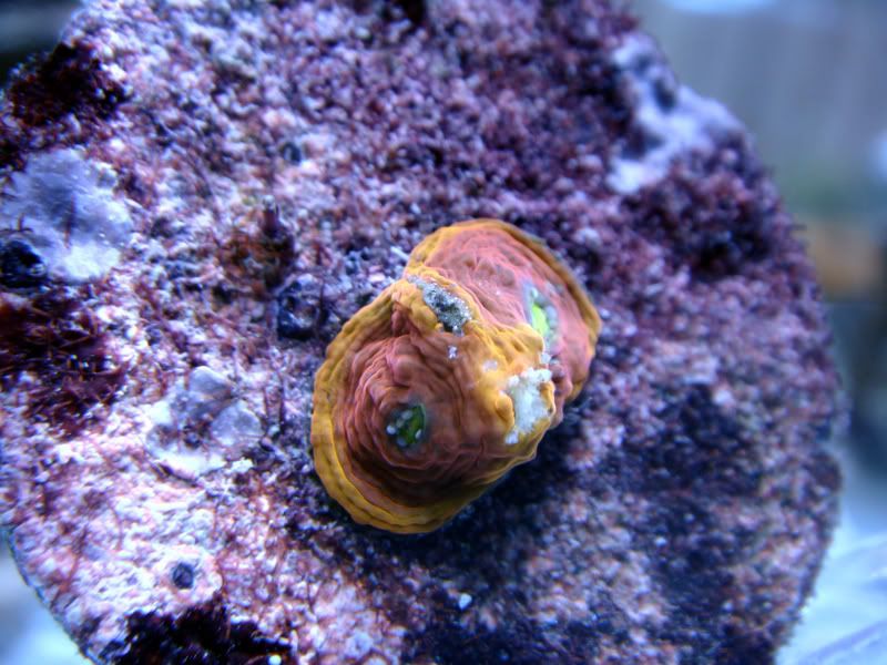 DSC03772_edited.jpg