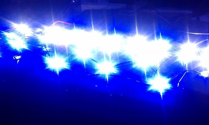 IMAG0188.jpg