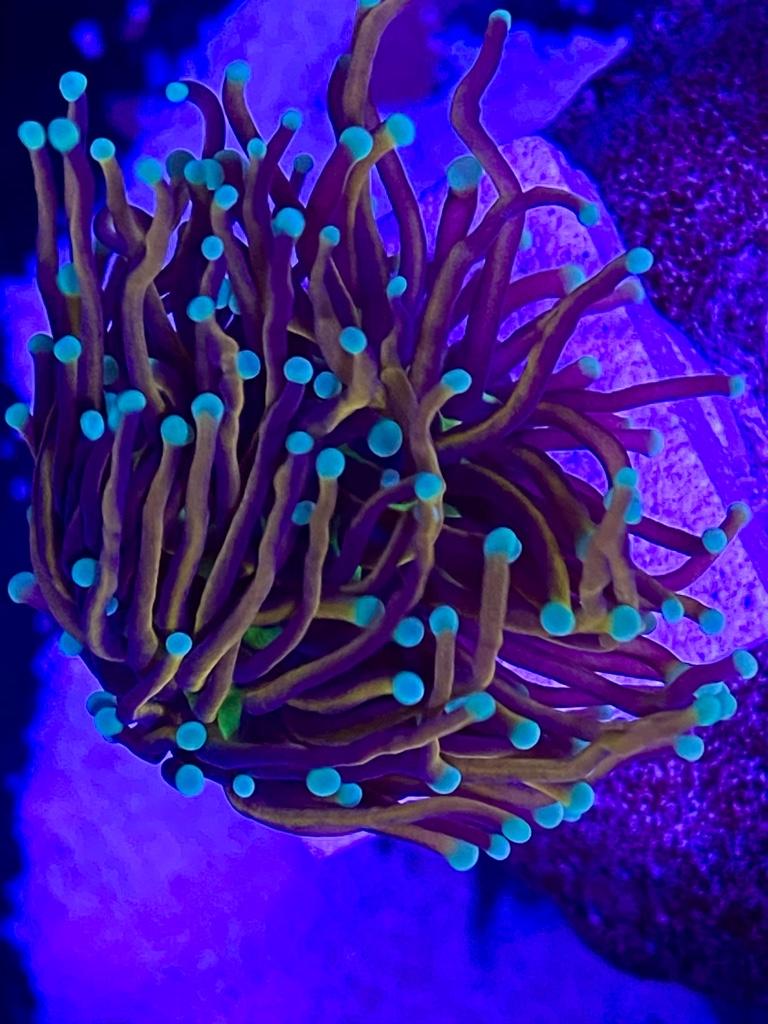 3ce6e535a690569dcc87299379bc0ba6.jpg