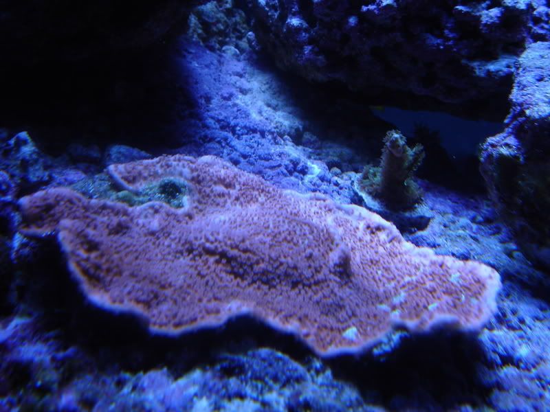 DSC01338.jpg