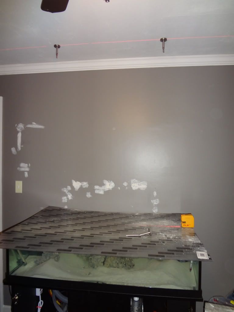 516c852e.jpg