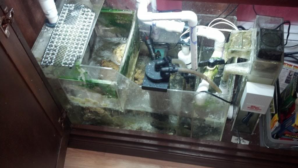 2013-02-11_20-43-56_74.jpg