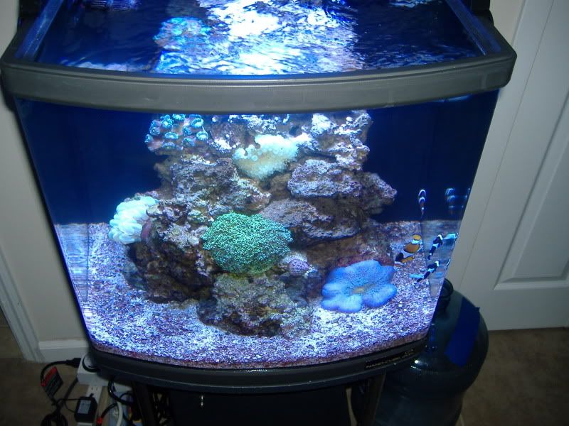 24gnano009.jpg