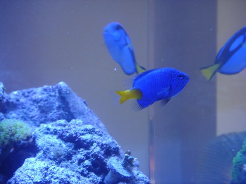 2008_0323100g-square0016.jpg