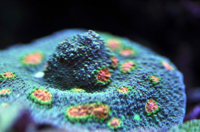 DSC_0596_edited.jpg