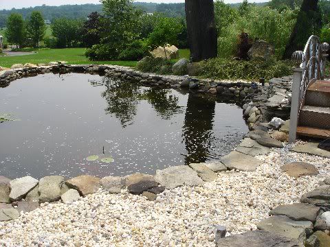 POND5.jpg