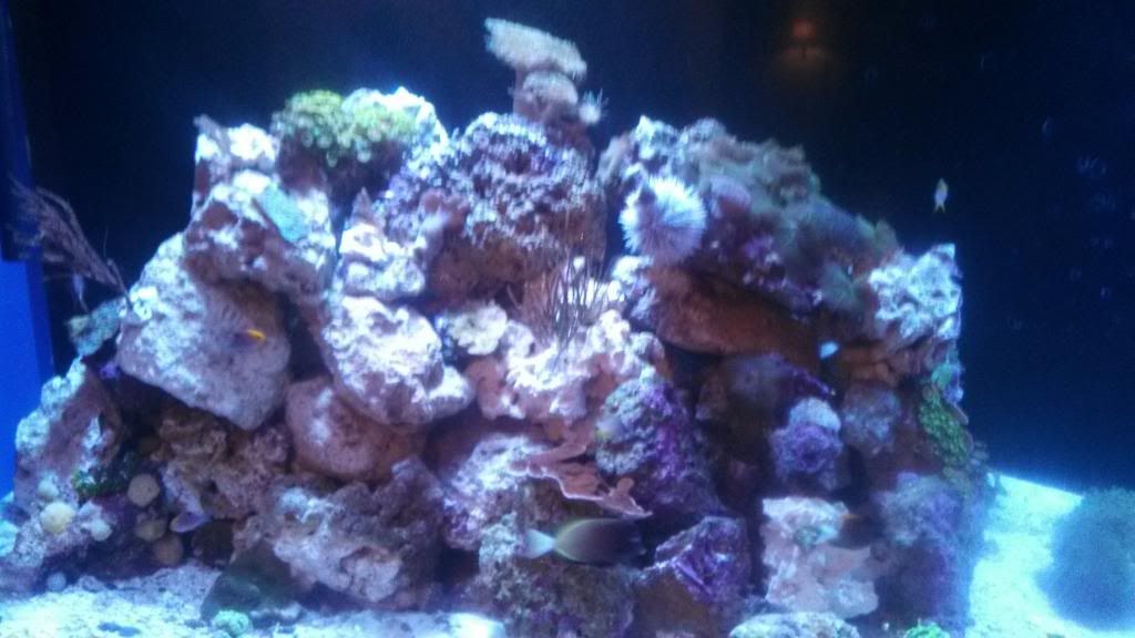 IMG_20131222_104558_547.jpg