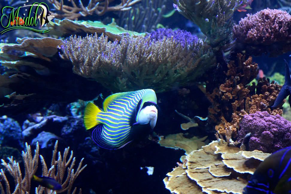 IMG_8102.jpg