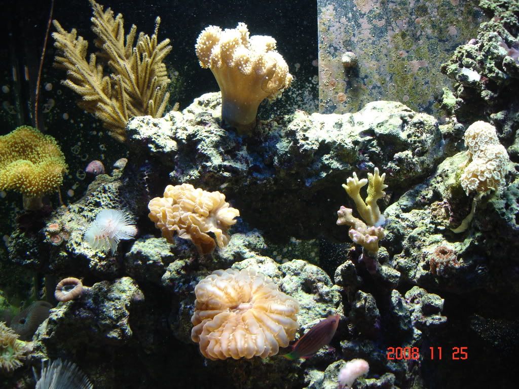 DSC02624.jpg