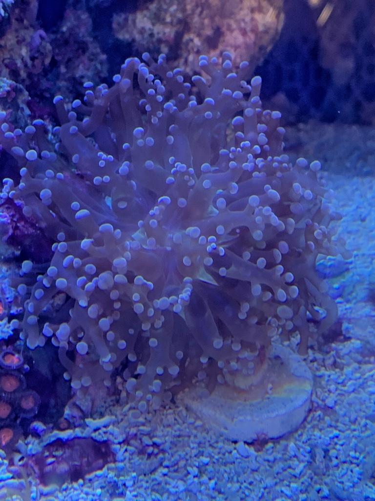 e6c85185f30f2b1a7e882849ddd6f50e.jpg