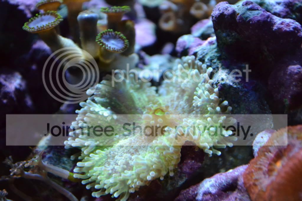 nanoforsale009.jpg