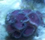 105_0736.jpg