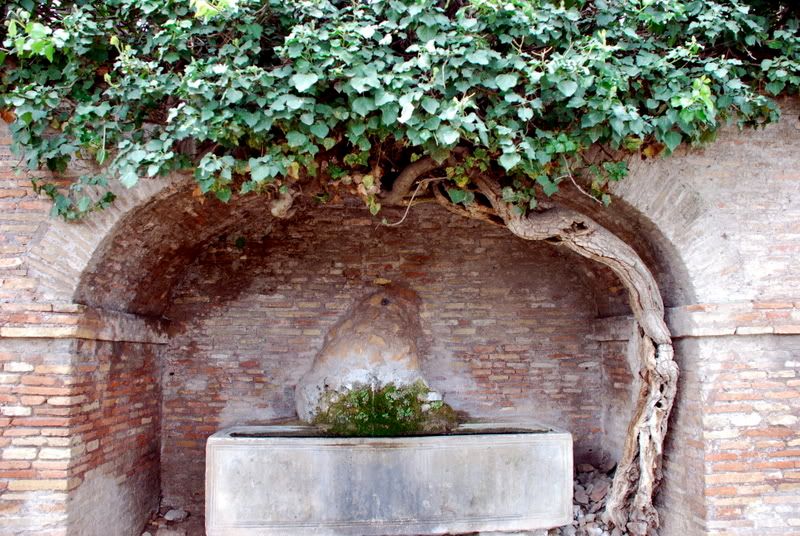 DSC_0409.jpg