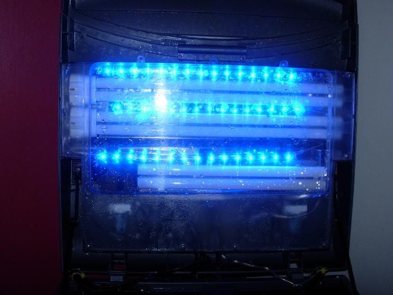 DSCN2266.jpg