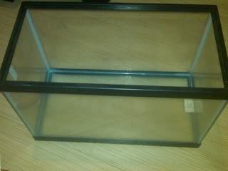 IMG-20110903-00091.jpg
