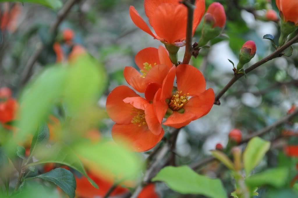 DSC_0341.jpg