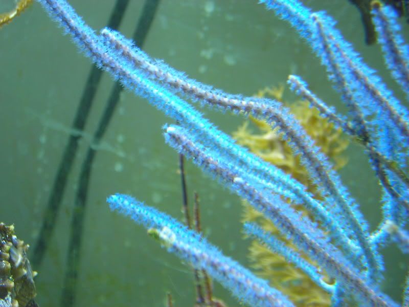 DSCN2026.jpg