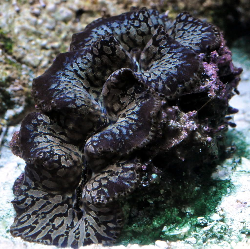 DSC_0287.jpg