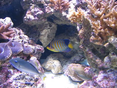 IMG_6470.jpg