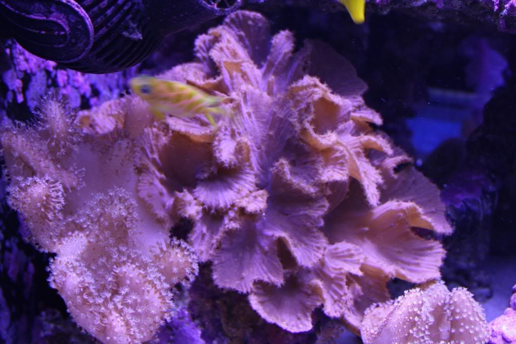 IMG_1259.jpg