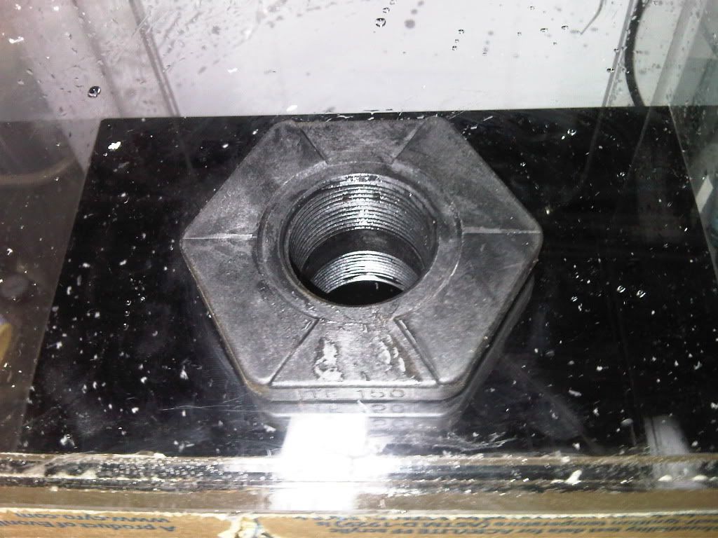 4bulkhead.jpg