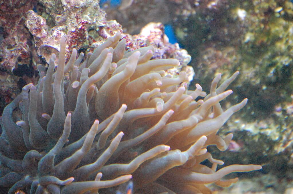 DSC_0226.jpg