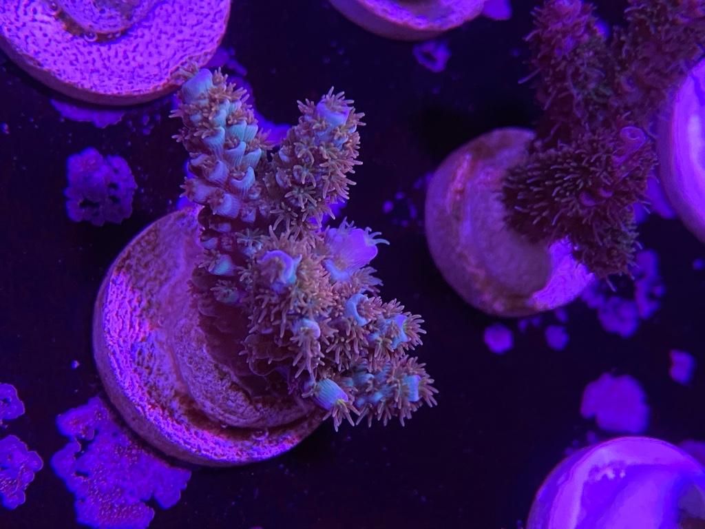 56b4bc74b79e06bddf264ac8d94b0394.jpg