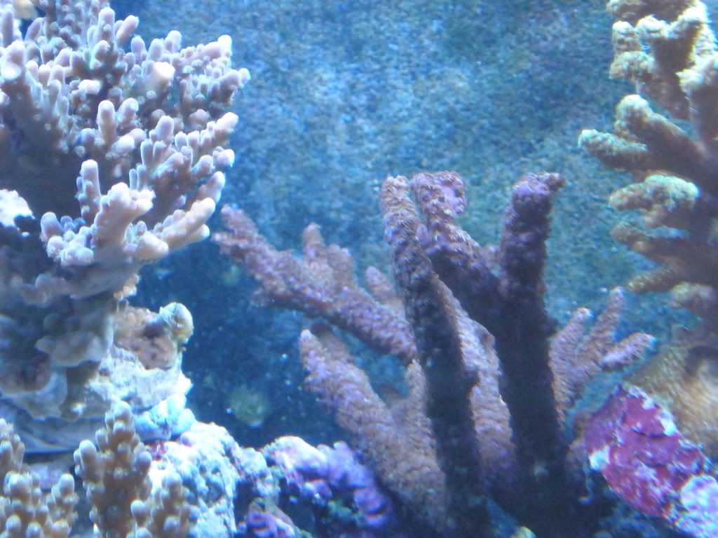 P5020032.jpg