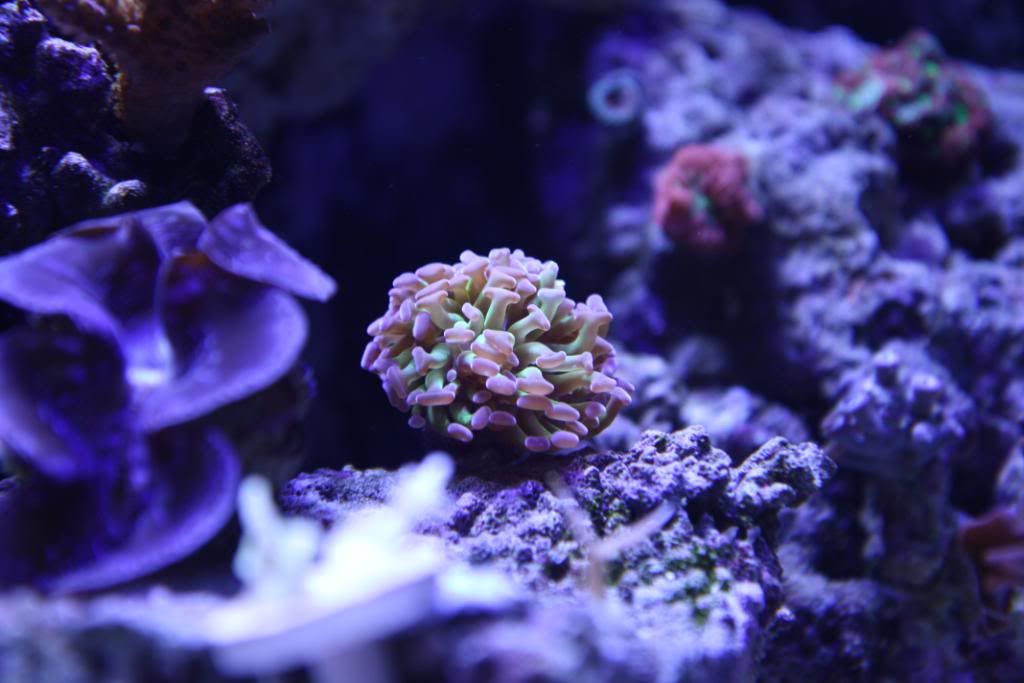 101810_TankHDR1_0451.jpg