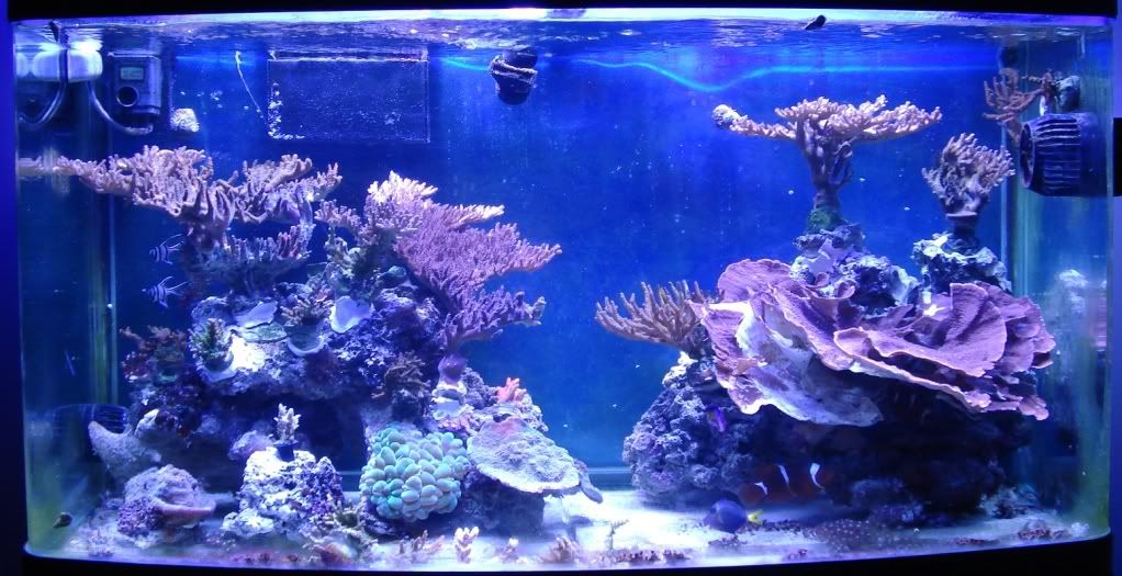 FTS-20101023.jpg