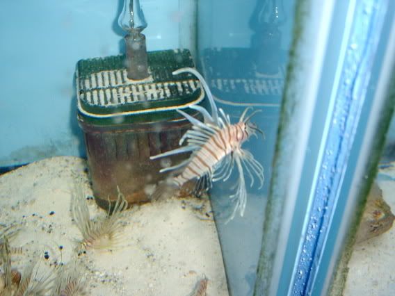 SV400008-1.jpg