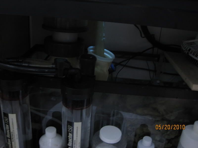Picture008.jpg