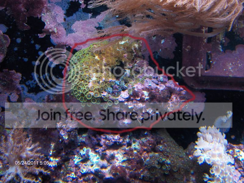 fishtank50220.jpg