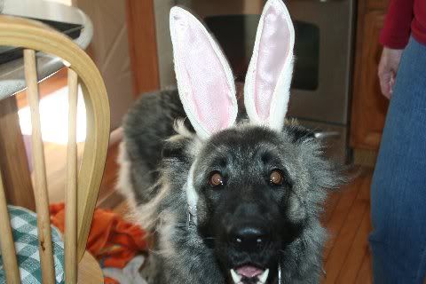 SableEaster11016.jpg