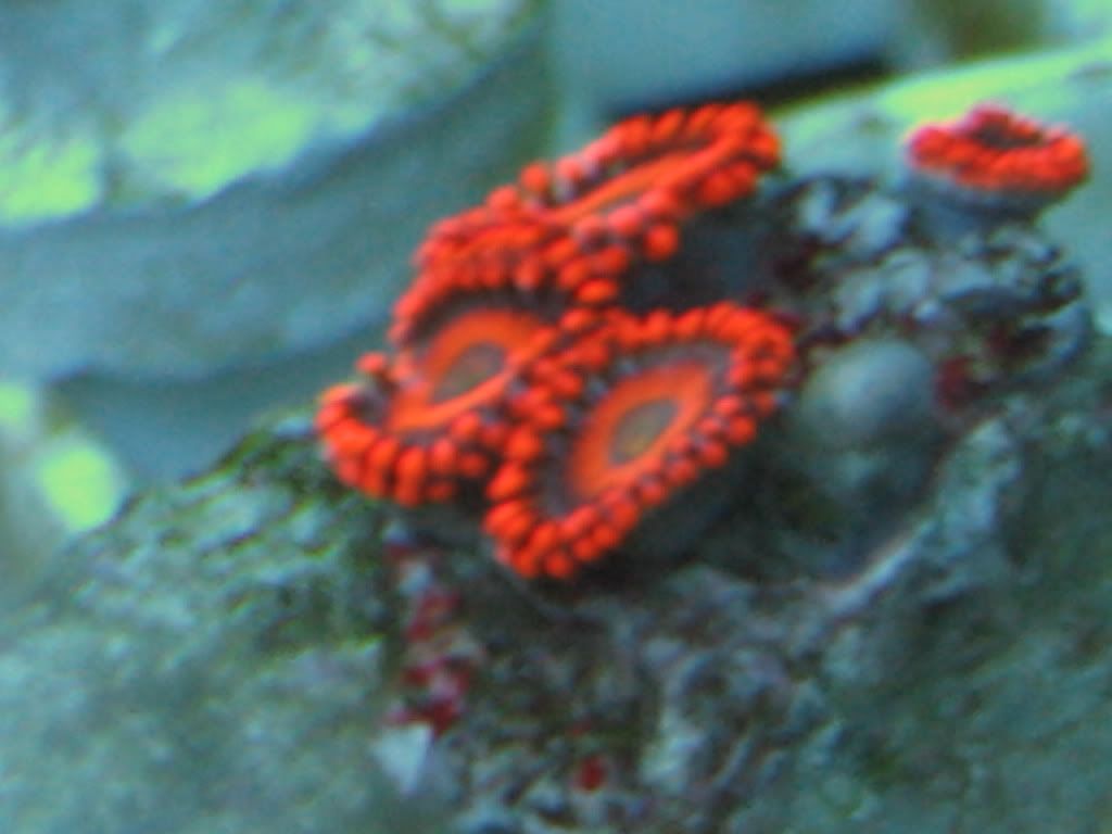 IMG_3379.jpg