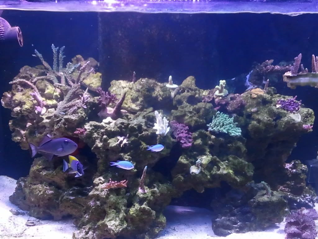 2010-12-09171723.jpg