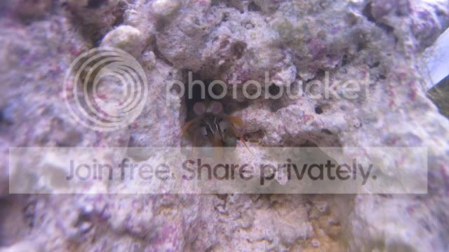 IMG_2286.jpg