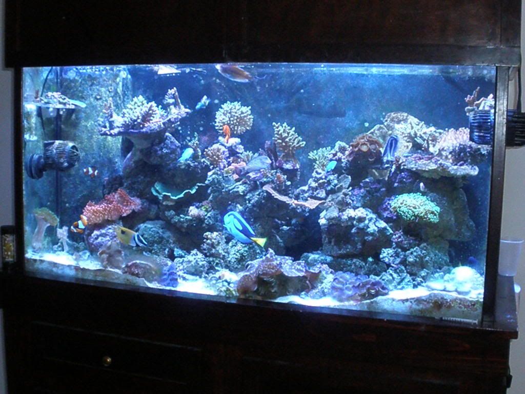 P4150016.jpg