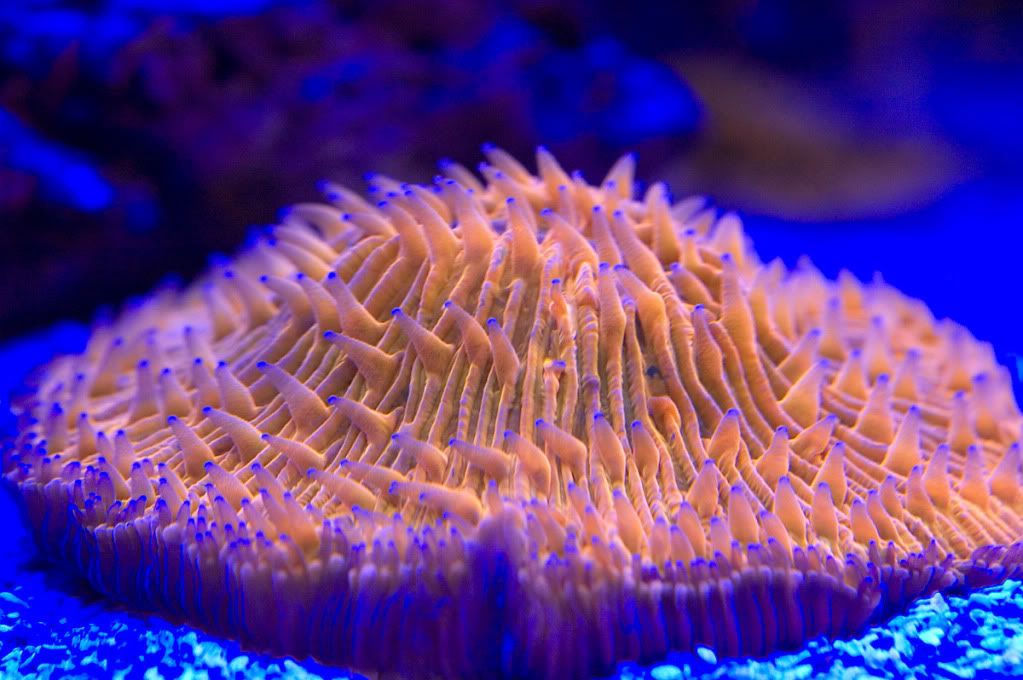 DSC_3656.jpg
