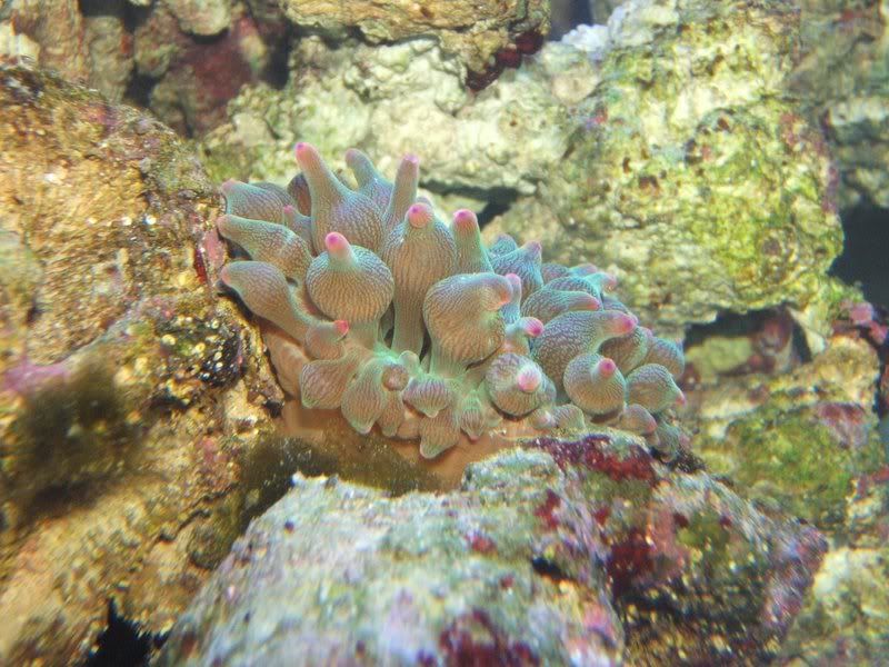 DSCF1092.jpg