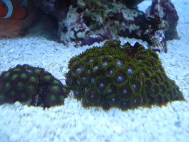 DSC03793.jpg