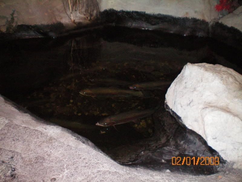 100_0148.jpg