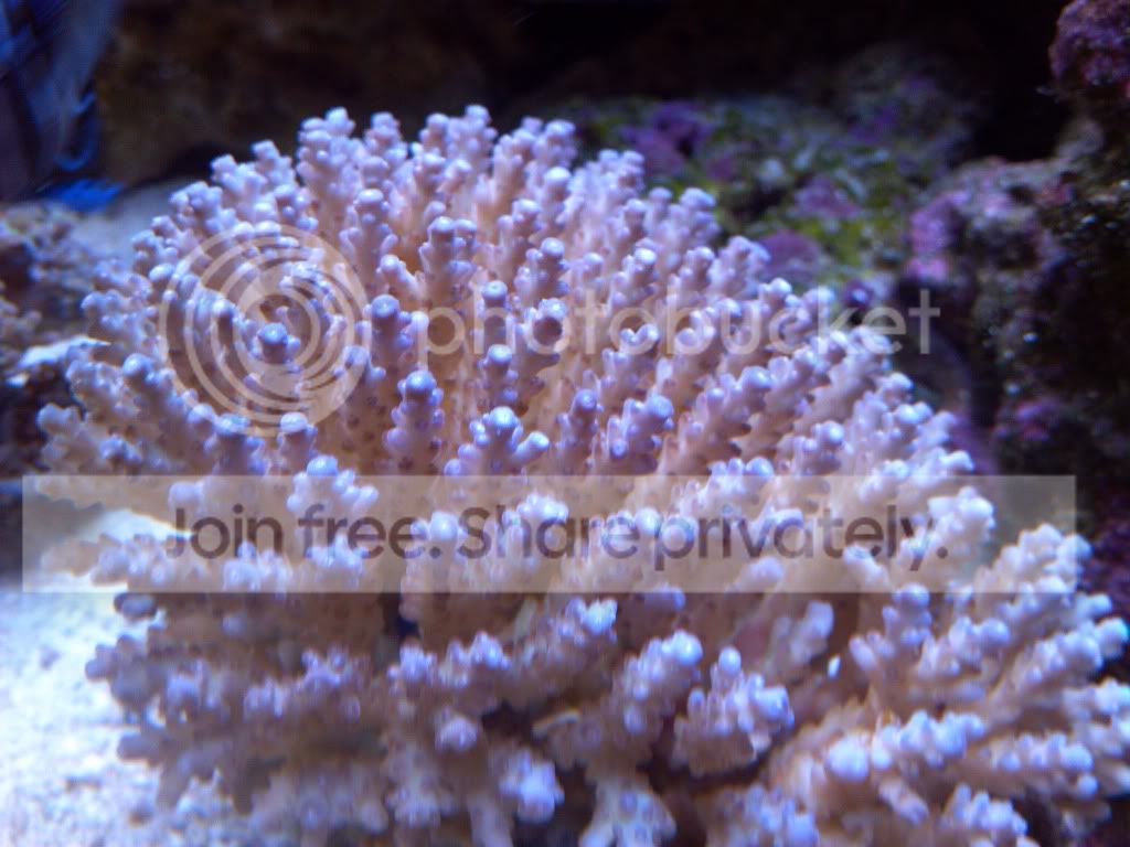 2012-01-17_13-58-48_228.jpg