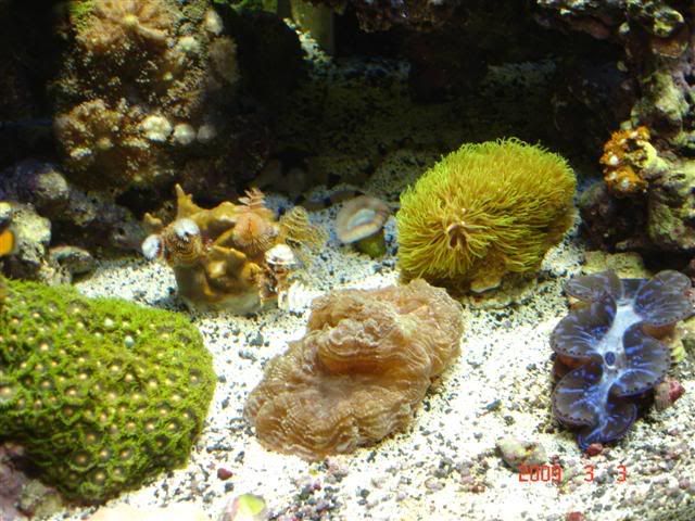 DSC02910Small.jpg