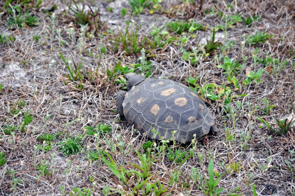 DSC_0838_edited-1.jpg