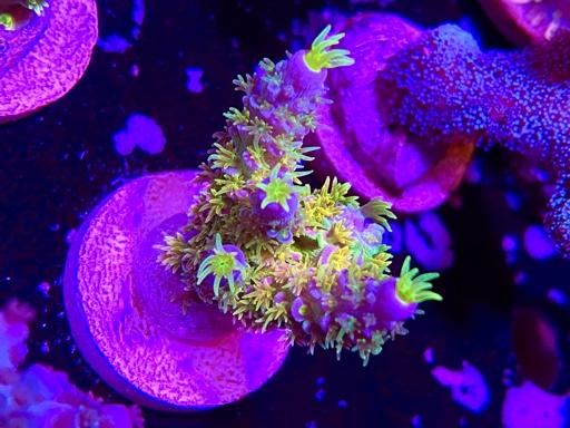 3e5753e65ee8b512636fd611568f0506.jpg