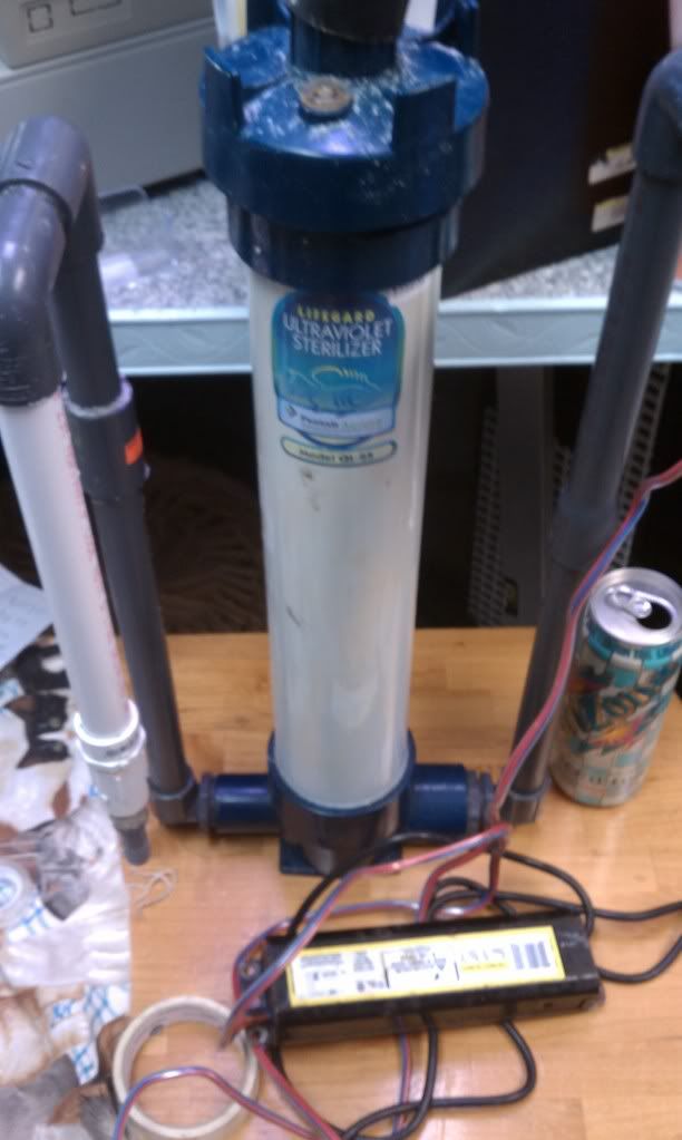 IMAG0481.jpg