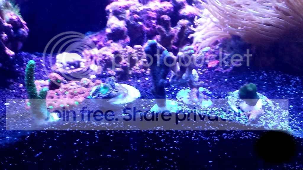 20131128_150939.jpg